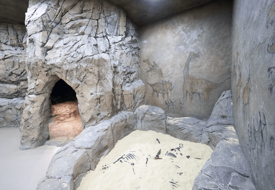 Cave Explorer Image