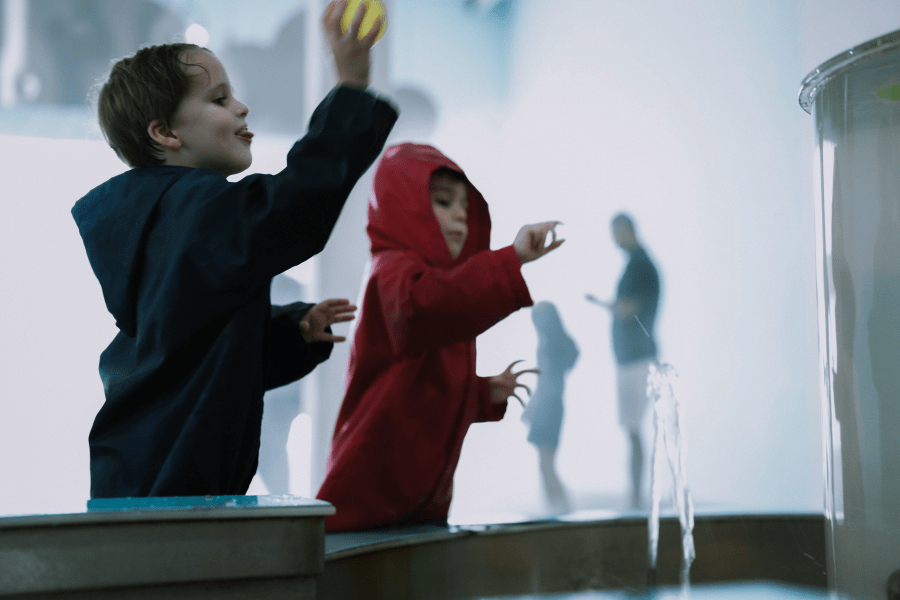 Splash Lab Image