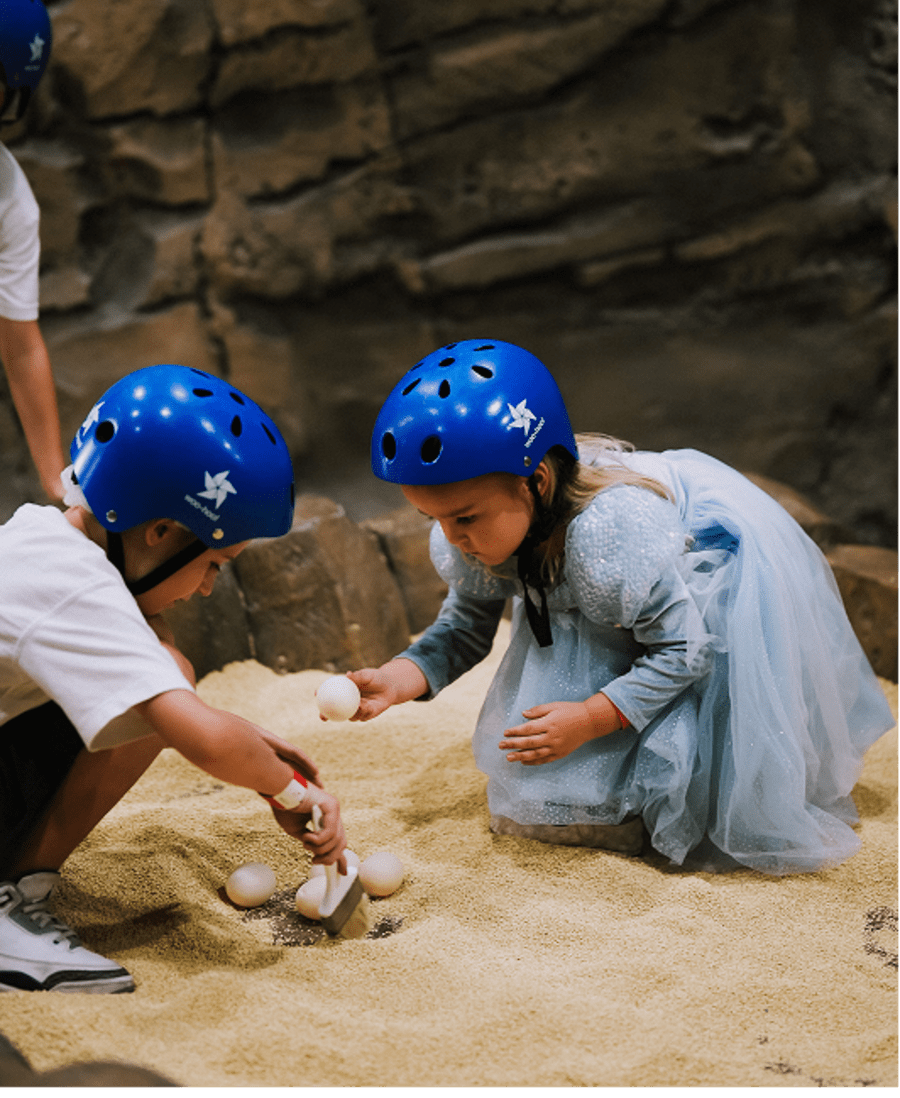 Cave Explorer Image