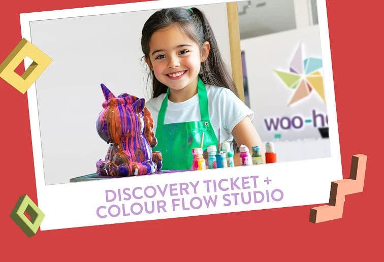 Discovery Ticket + Colour Flow Studio